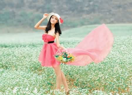 花季烟雨,于我的世界曾绽放过