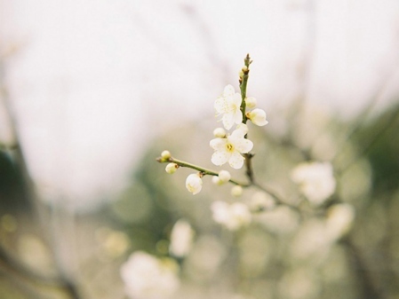 相逢,若春暖花开