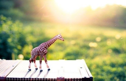 拾一米阳光,藏一段心事