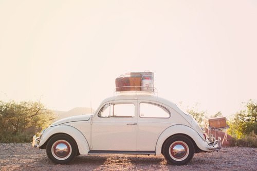 心种阳光,时光安暖