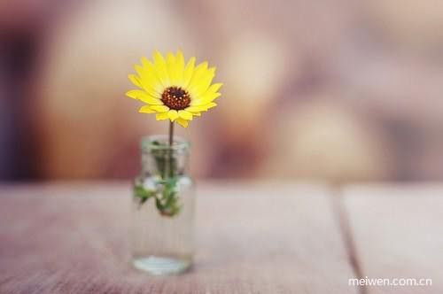 心若向阳,温暖便在